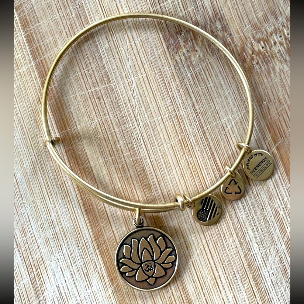 3/20 Alex and Ani Lotus Peace Petals Charm Bangle Bracelet Recycle Energy 2015